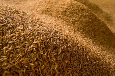 Goodyear: Gördülő rizsszemek